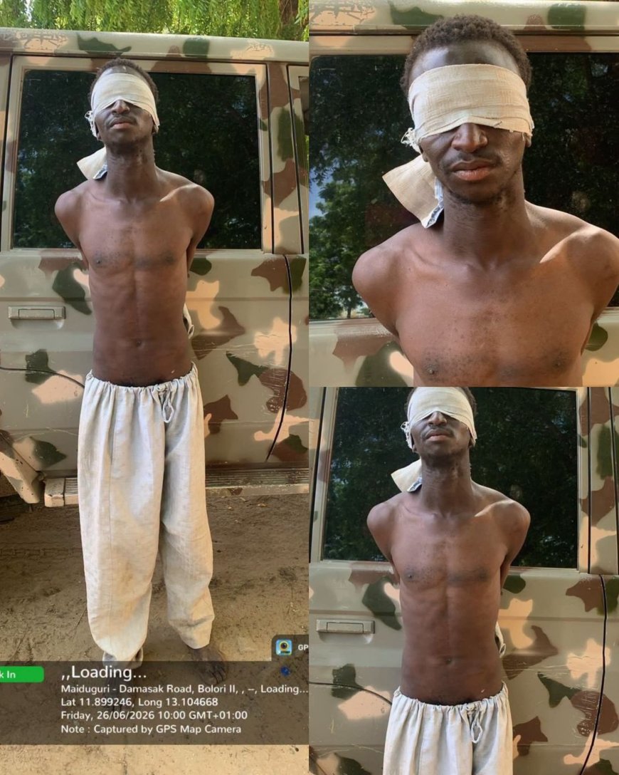 Nigerian Army Foils Alleged ISWAP Attack in Borno, Arrests Suspected Spy During Patrol